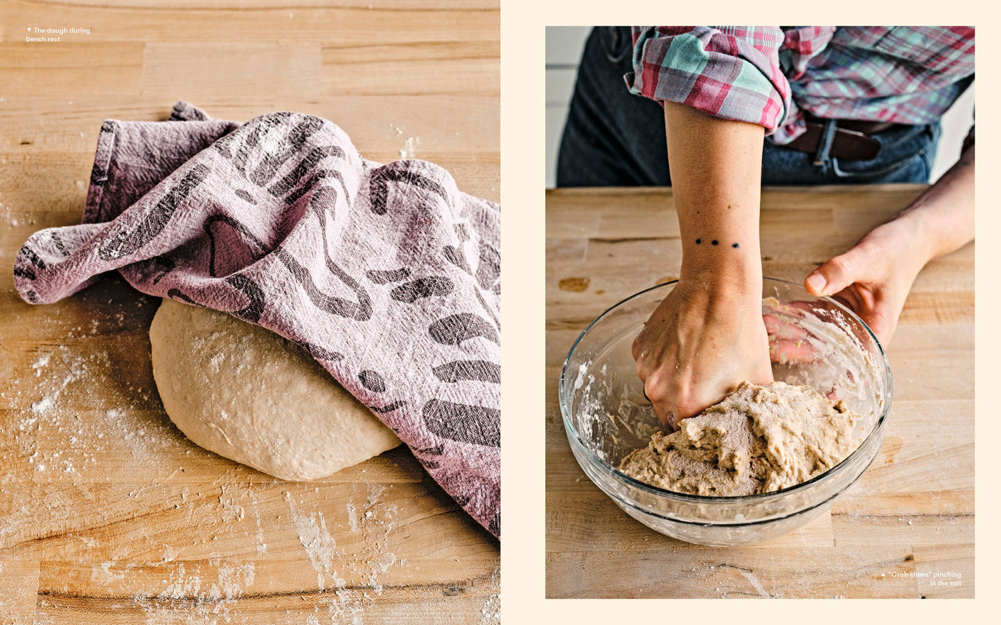 Flour Power Sourdough Book