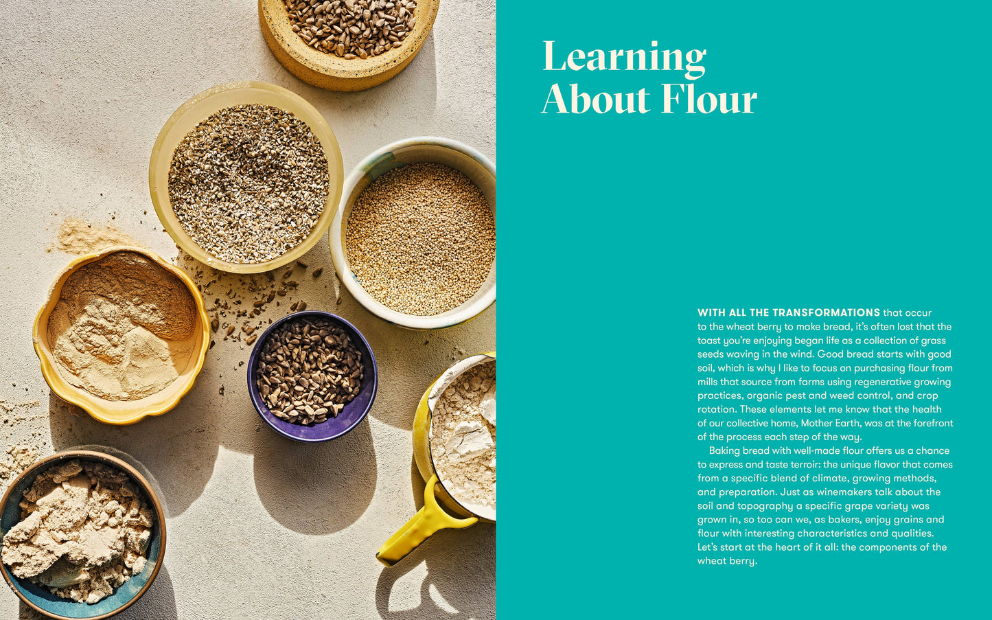 Flour Power Sourdough Book