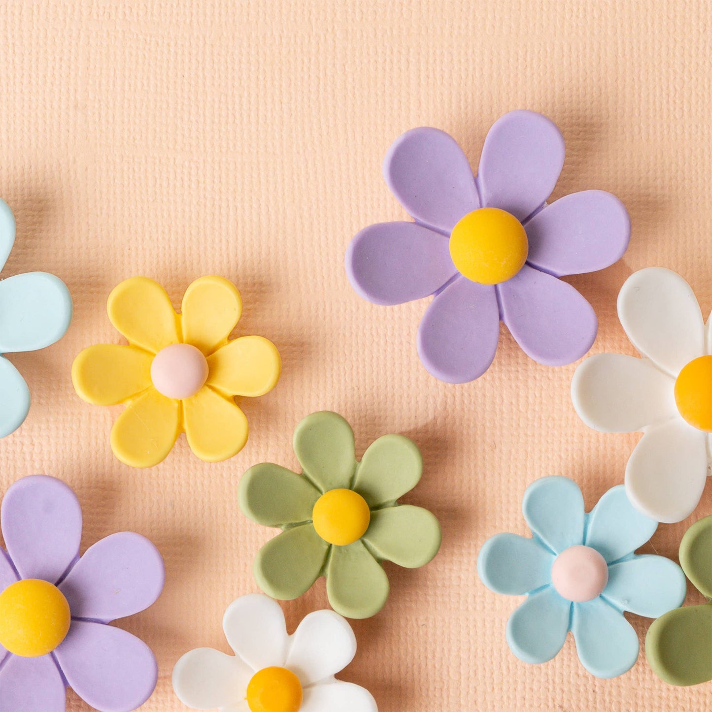 Daisy Delight Magnet Set