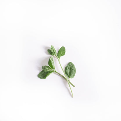 PEPPERMINT Alertness Aromatherapy Inhaler Patches