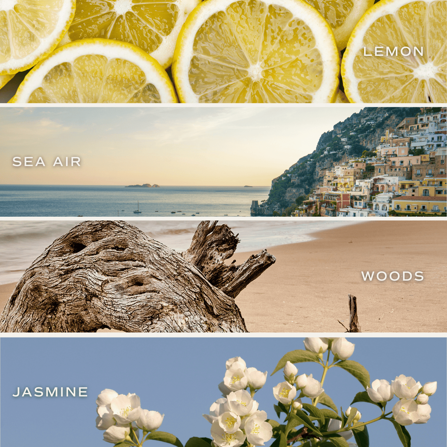 Coastal Lemon 12 oz Soy Candle