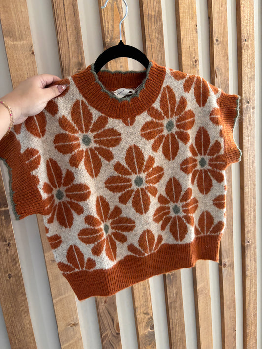 Pumpkin Spice Floral Cropped Sweater