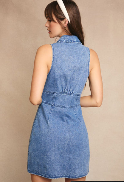Jesse Halter Denim Dress