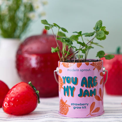 Complimentary Color Grow Kits